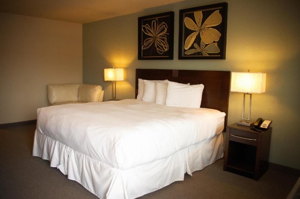 Unique Suites Hotel image 11