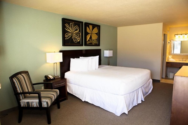 Unique Suites Hotel image 13