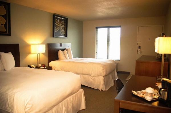 Unique Suites Hotel image 14