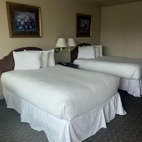 Unique Suites Hotel image 2